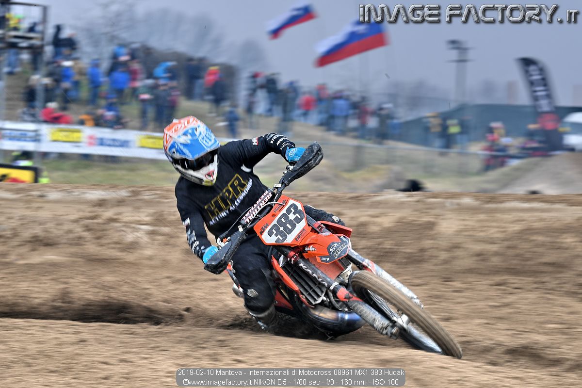 2019-02-10 Mantova - Internazionali di Motocross 08961 MX1 383 Hudak